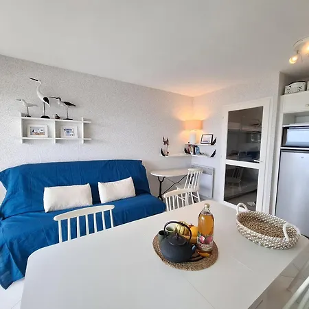 公寓 Vue Mer-piscine Et Parking La Chaume