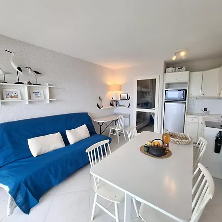 公寓 Vue Mer-piscine Et Parking La Chaume